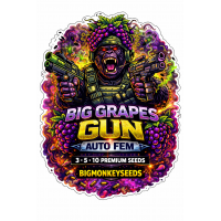 Big Grapes Gun Auto Fem