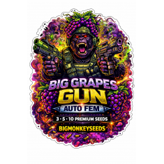 Big Grapes Gun Auto Fem