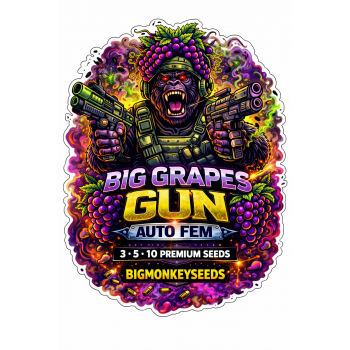 Big Grapes Gun Auto Fem
