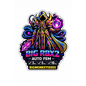 Big RBX2 Auto Fem Big RBX2 Auto Fem