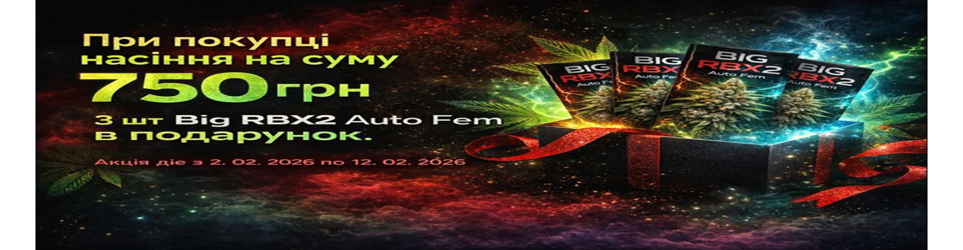 Big RBX2 Auto Fem в подарунок