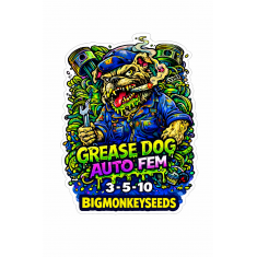 Grease Dog Auto Fem