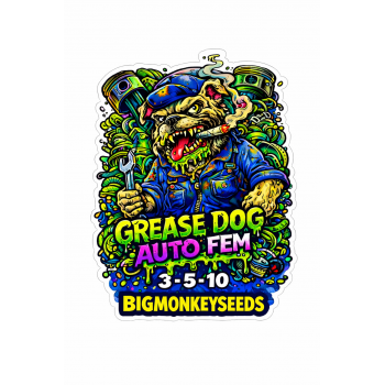 Grease Dog Auto Fem