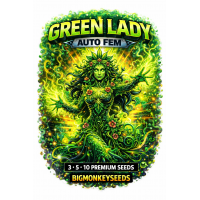 GREEN LADY AUTO FEM  