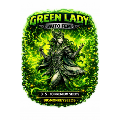 GREEN LADY AUTO FEM  