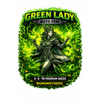 GREEN LADY AUTO FEM  