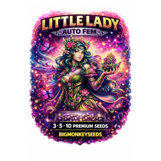 Little Lady Auto Fem 