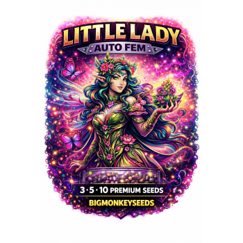 Little Lady Auto Fem 