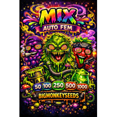 AUTOFEM MIX 