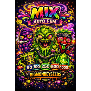 AUTOFEM MIX 