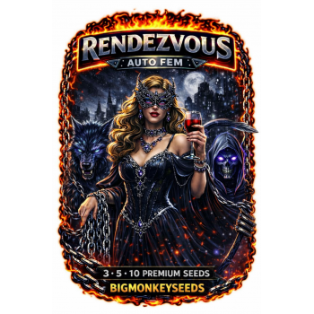 RENDEZVOUS Auto Fem