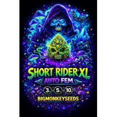 SHORT RIDER XL 