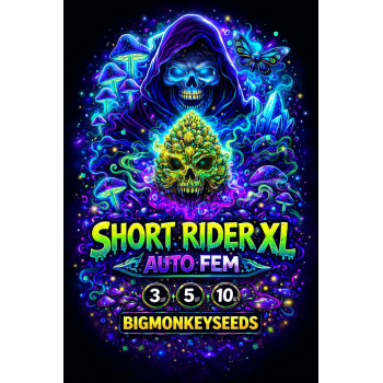 SHORT RIDER XL 
