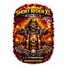 SHORT RIDER XL 