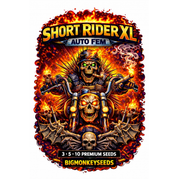 SHORT RIDER XL 