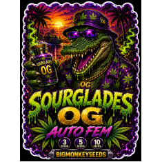 Sourglades OG Auto Fem