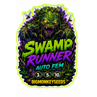 Swamp Runner Auto Fem