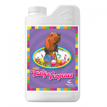 TASTY TERPENES